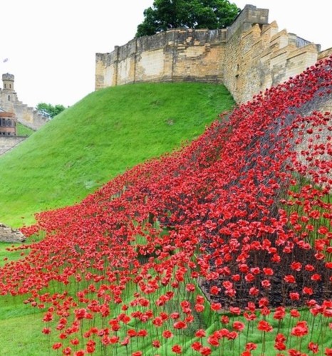 poppies sculptures.jpg poppies sculptures.jpg