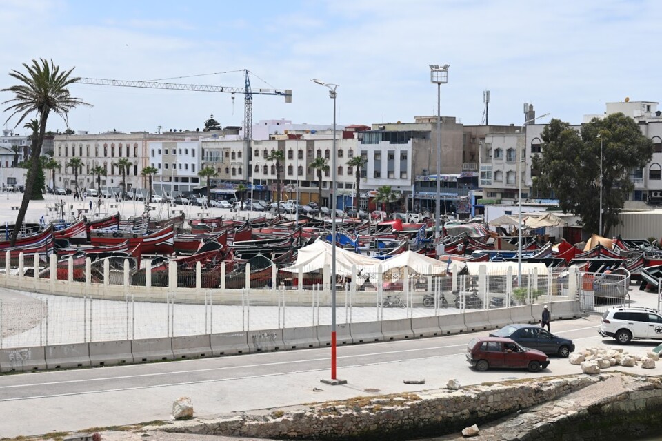 Não me canso disto el jadid 9a.JPG