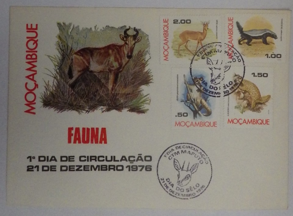 fdc_mocamb_ (5).JPG