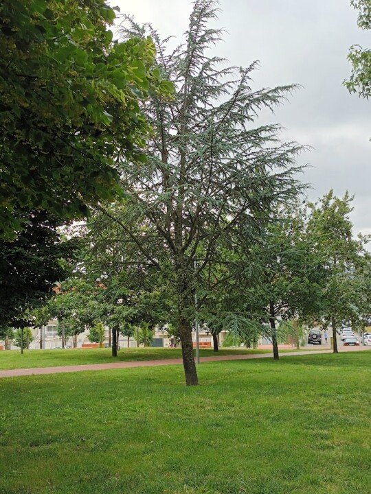 Não me canso disto parque.jpg