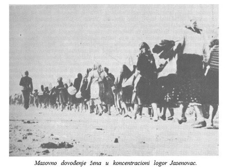 campo3.jpg