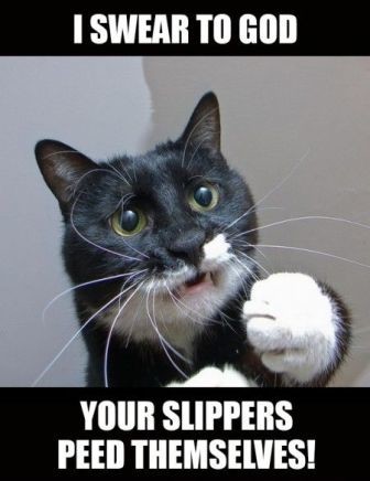 07e86c3a8c27520045b3c949fc6588c6.jpg 07e86c3a8c27520045b3c949fc6588c6.jpg