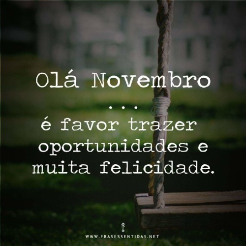 FB_IMG_1541075206226.jpg