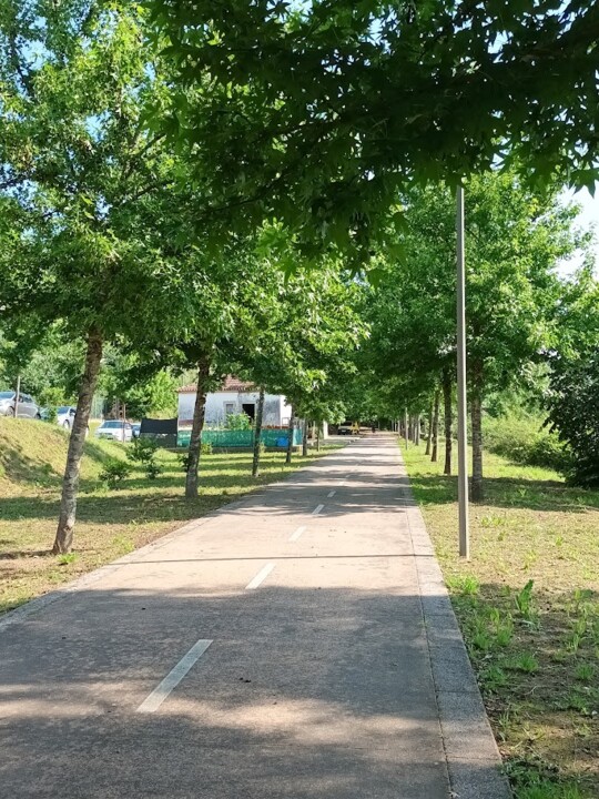 Não me canso disto_Canedo1.jpg