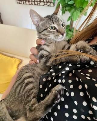 462764204_18034205948221675_2726671971458909899_n.