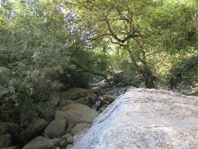 220315944_4098365893612018_5789257073064614826_n.j