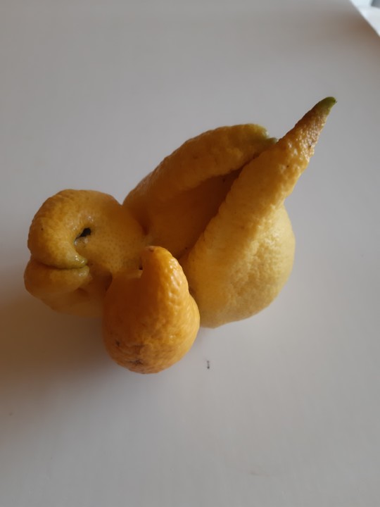 20191026_102457.jpg