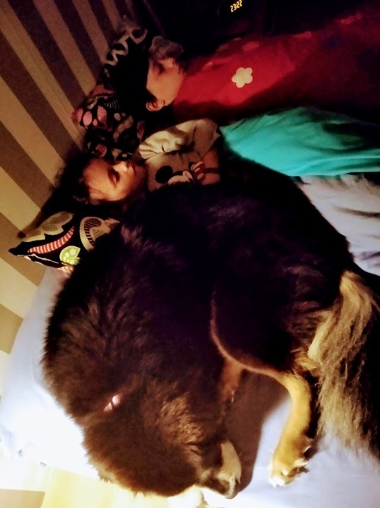 não_me_canso_disto_dormir.jpg não_me_canso_disto_dormir.jpg
