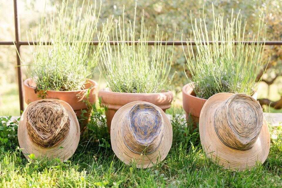 chapeus palha.jpg