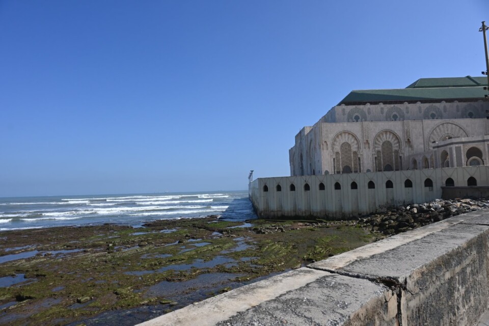 Não me canso disto casablanca9.JPG
