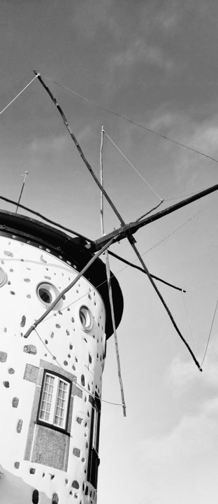 nse-5520547636421447926-2729.jpg nse-5520547636421447926-2729.jpg