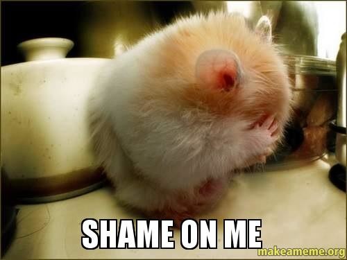 shame-on-me.jpg