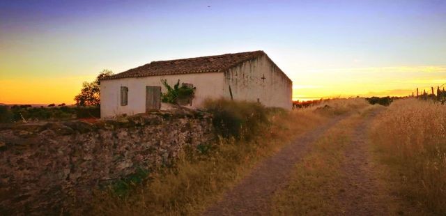 211531956_4510472218965218_6541614882154092882_n.j