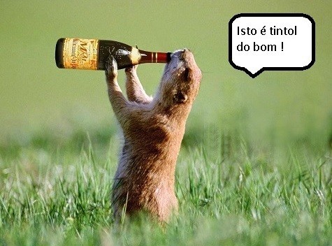 cão da pradaria.jpg