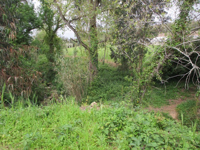 169326120_3777004192414858_4432194050203427691_n.j