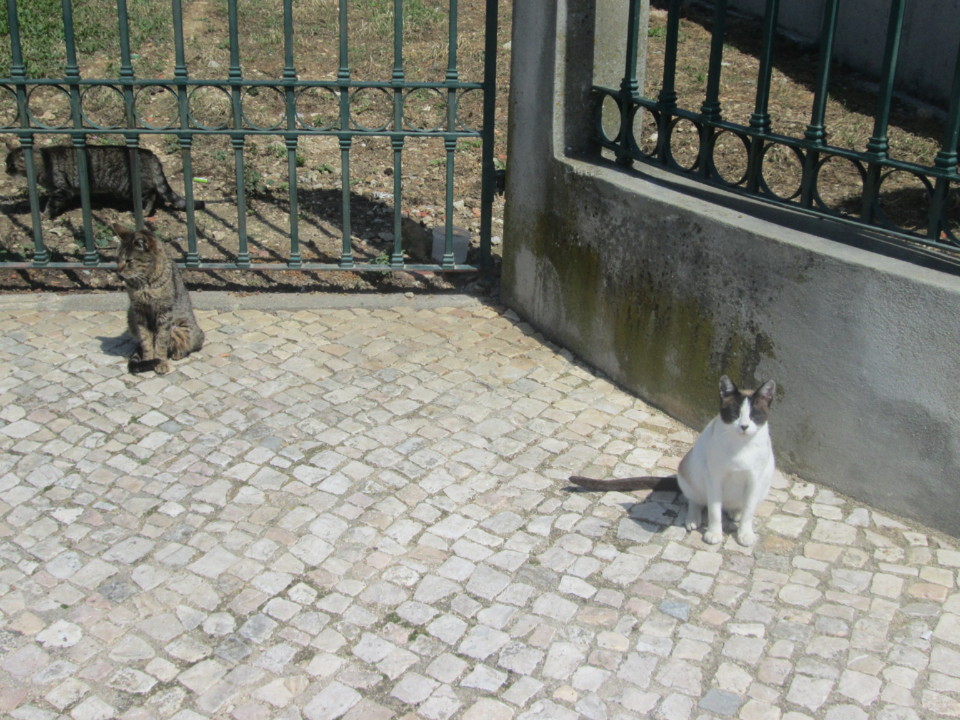 IMG_7389.JPG IMG_7389.JPG