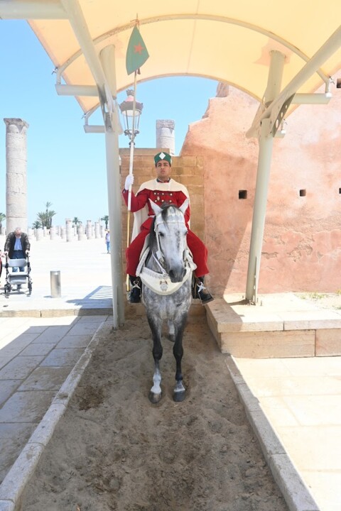 Não me canso disto RAbat1.JPG