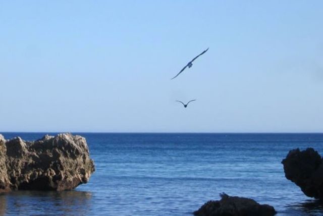 37588666_1737335069715124_1196552196171235328_o.jp