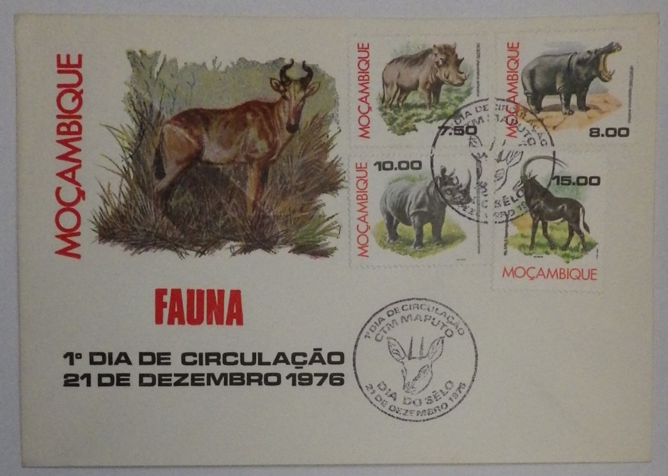 fdc_mocamb_ (4).JPG