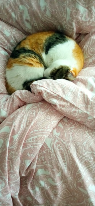 IMG_20220312_155051 (1).jpg