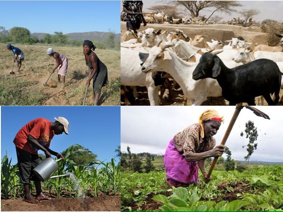 ...africa agri8.jpg