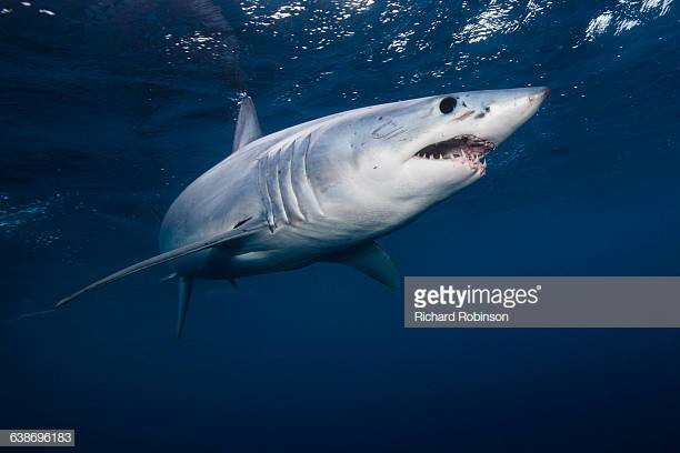 gettyimages-638696183-612x612.jpg