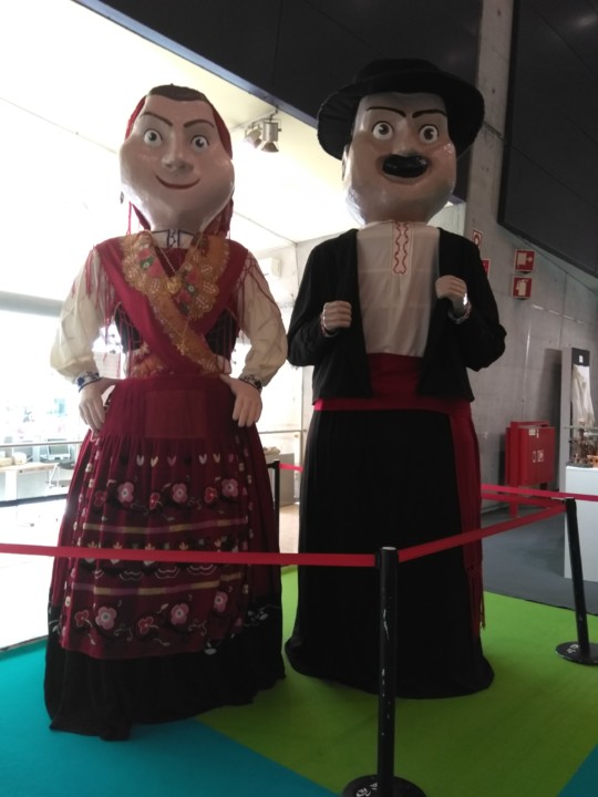 IMG_20190707_172039.jpg