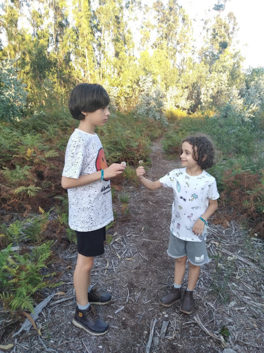 não_me_canso_disto_eles1.jpg