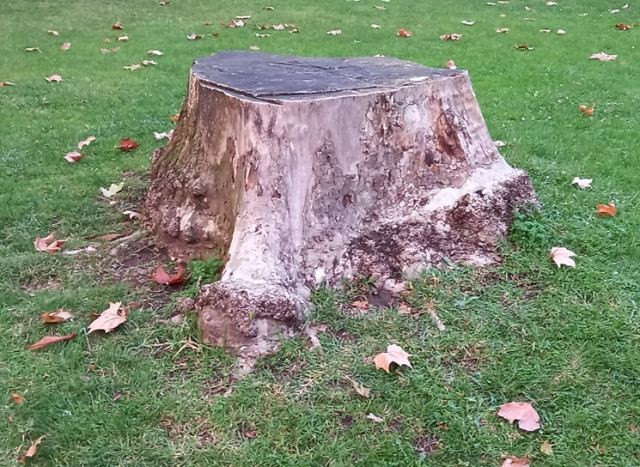 260351229_570086620725071_1628878589253543781_n.jp