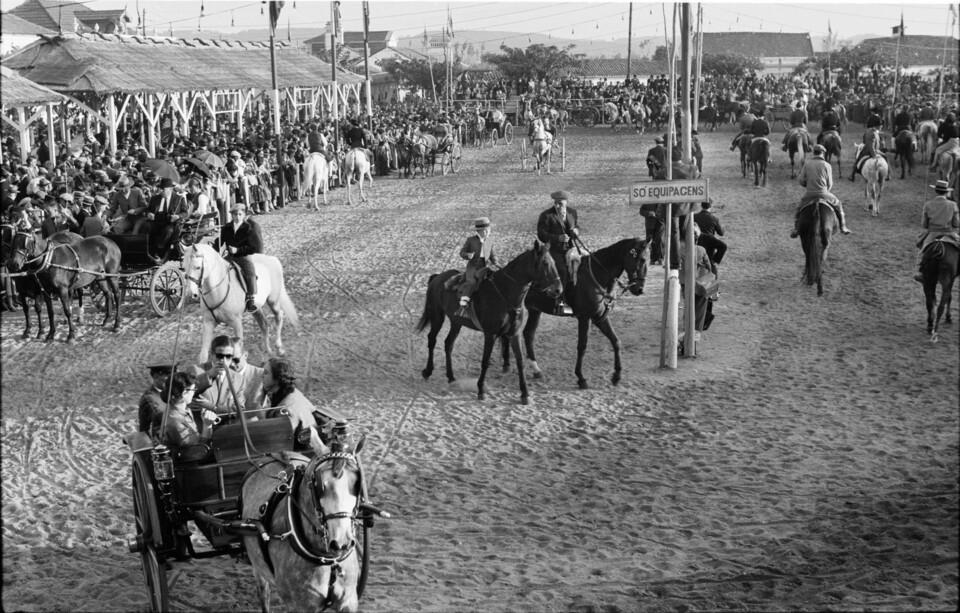 feira com cavalos.jpg