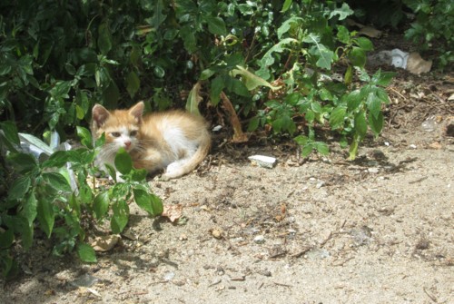 IMG_59342.JPG IMG_59342.JPG