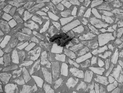 HPIM0074 (cópia).JPG