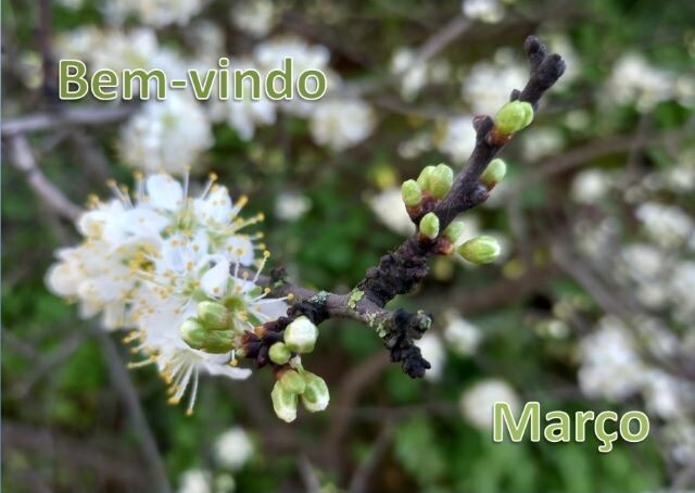Bem-vindo Março.jpg