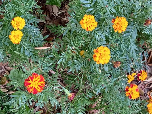 259992761_435985577892903_4812556318851371271_n.jp