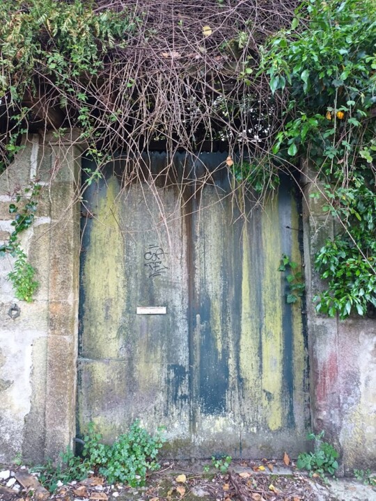 Não me canso disto porta1.jpg