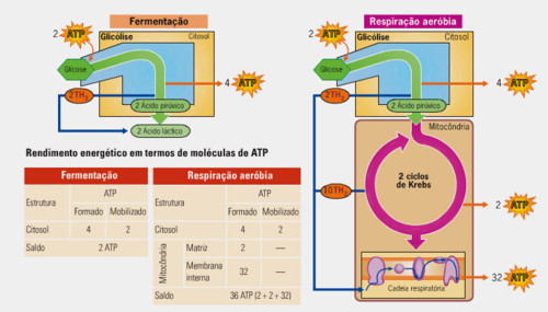 9B36E.jpg