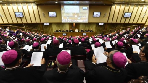 asamblea-del-sinodo.jpg