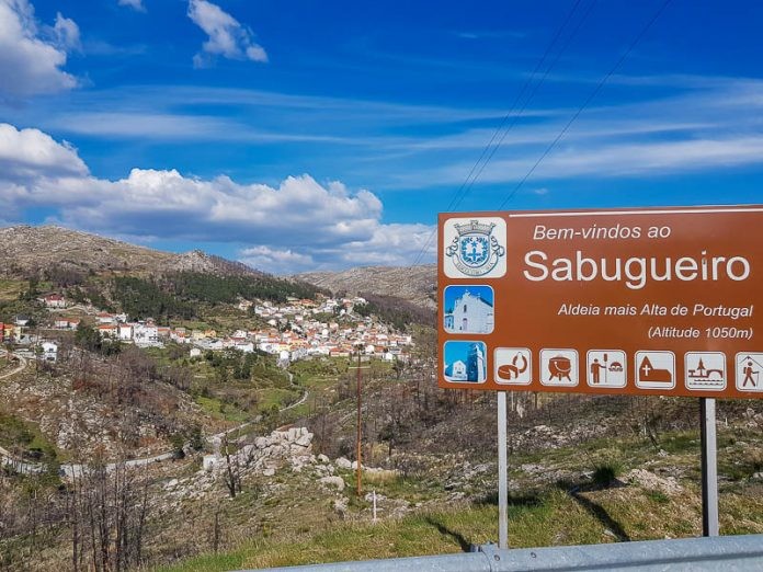 SABUGUERIO.jpg