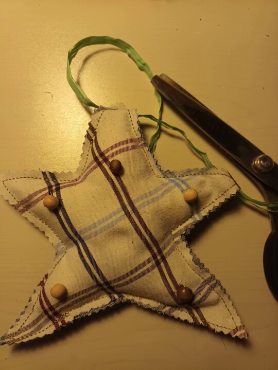 Não me canso disto estrela1.jpg