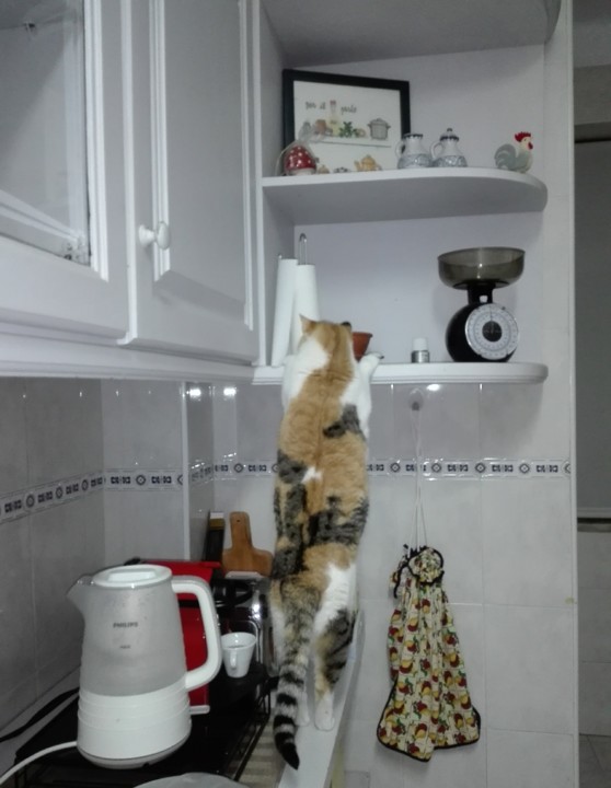 IMG_20190425_213352.jpg IMG_20190425_213352.jpg