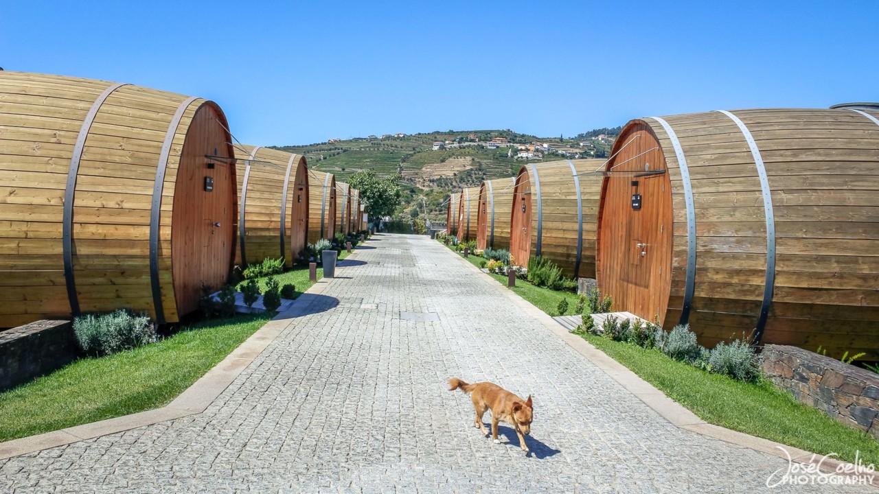 QUINTA DA PACHECA DOURO LAMEGO (29).jpg QUINTA DA PACHECA DOURO LAMEGO (29).jpg