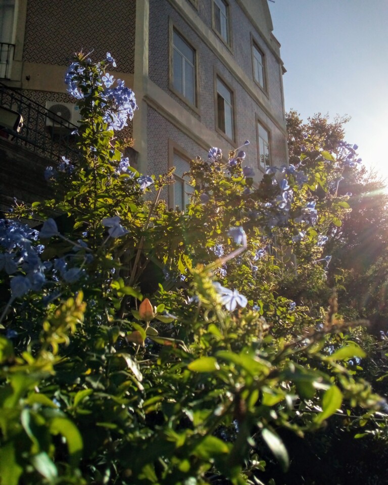 Estefânia, Lisboa — © MMXXIV