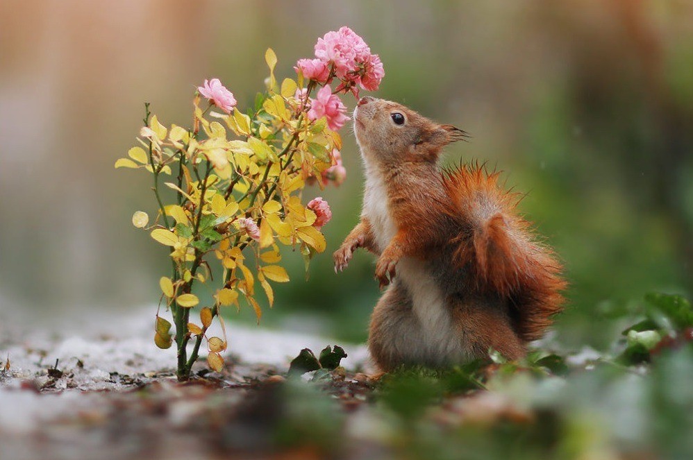 tumblr_7c135497833154ed15cc47abc53c21e2_2a63f03f_1