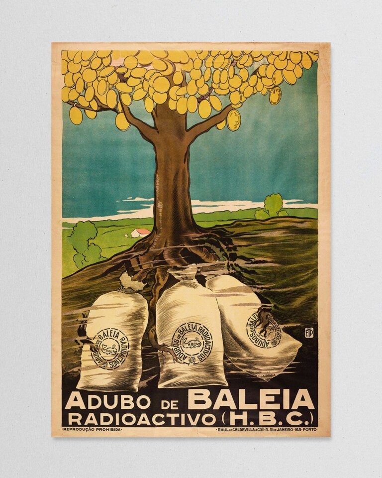 cartaz_53_adubo_baleia.jpg