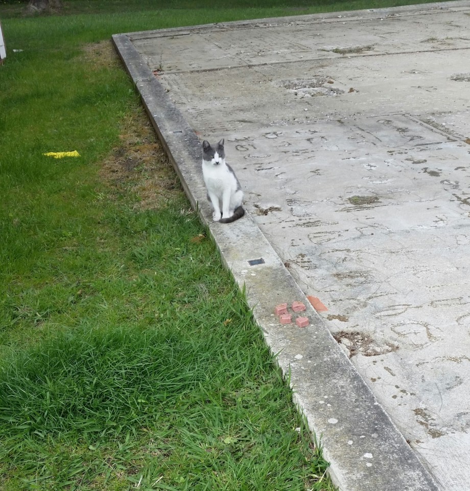 20190404_143701-1.jpg 20190404_143701-1.jpg