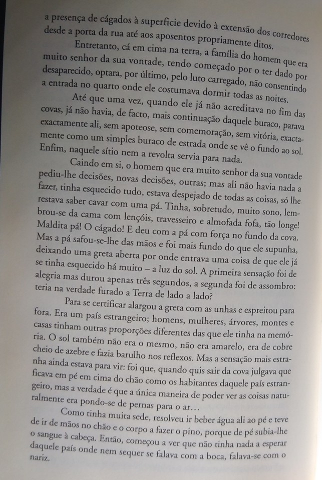 O Cágado 4..jpg