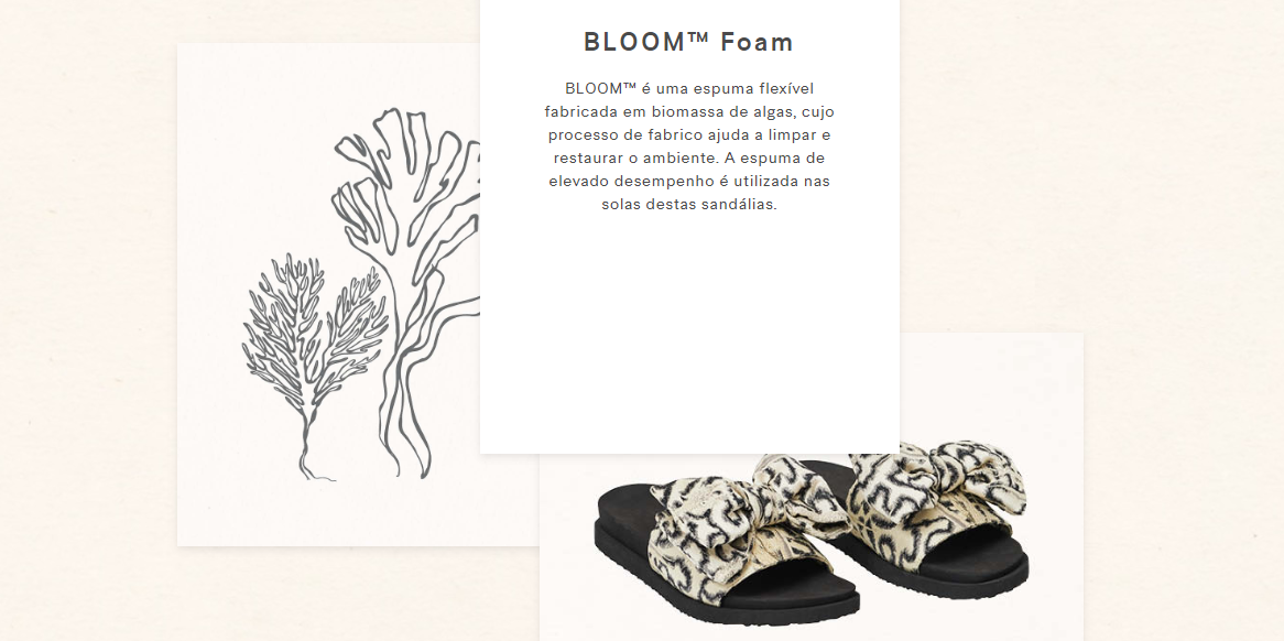 bloom FOAM.PNG