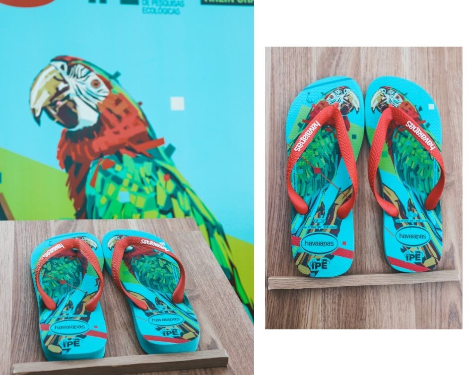 AraraVermelha|HavaianasIPÊ2019.jpg AraraVermelha|HavaianasIPÊ2019.jpg