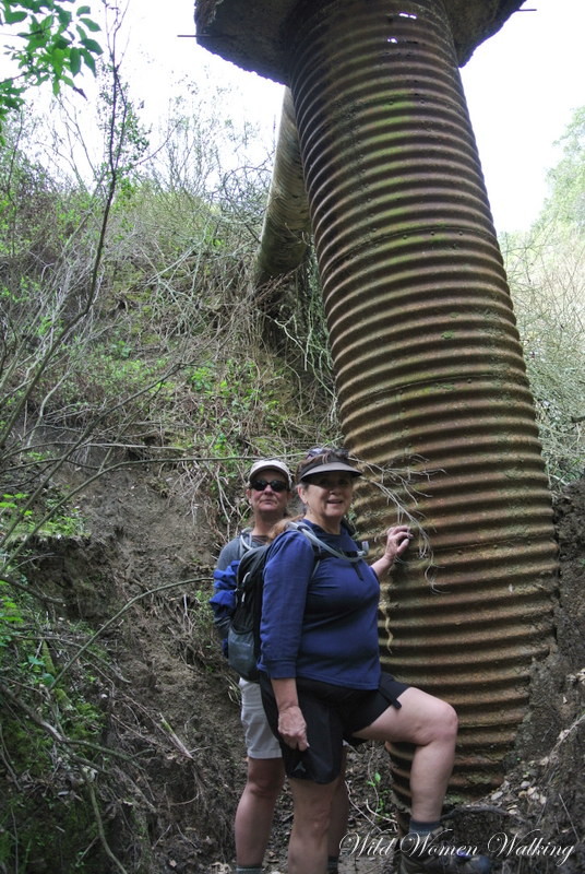 20-DSC_4747.JPG