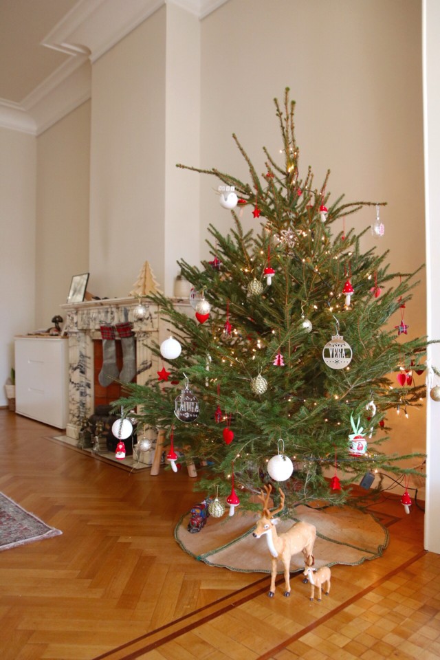pinheiro de natal natural sapin de noel bruxelles